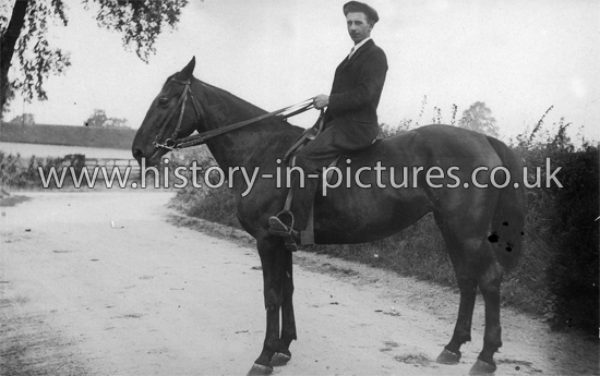 Horse and Rider, Park Gate Farm, Rivenhall, Essex. c.1912